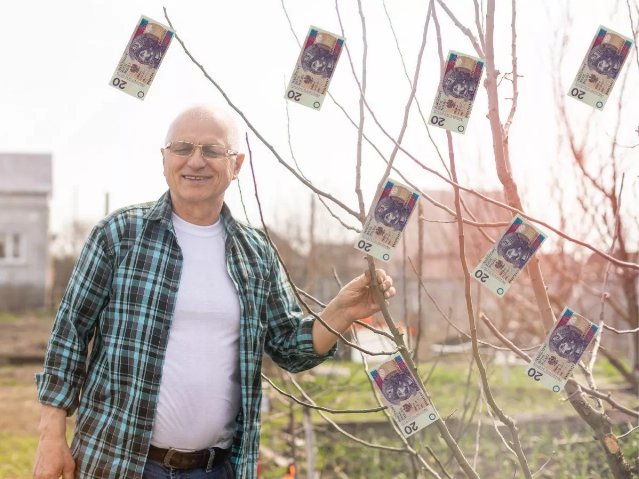 Jaka jest najwyższa emerytura z KRUS? Rolnicy mogą się zdziwić