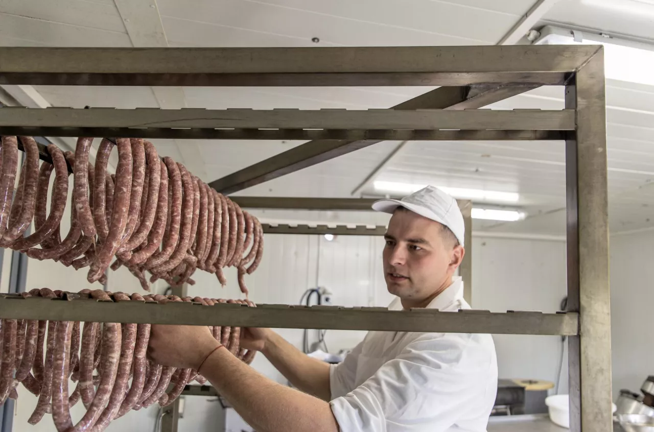 RHD, MOL, produkcja wędlin, małe przetwórstwo