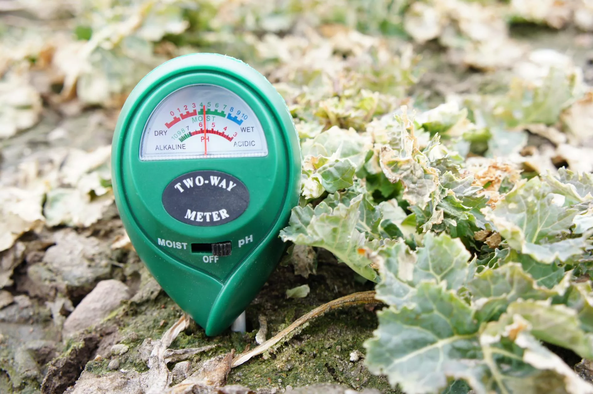 Optymalny odczyn gleby robi największą różnicę. Bez tego nawożenie traci sens