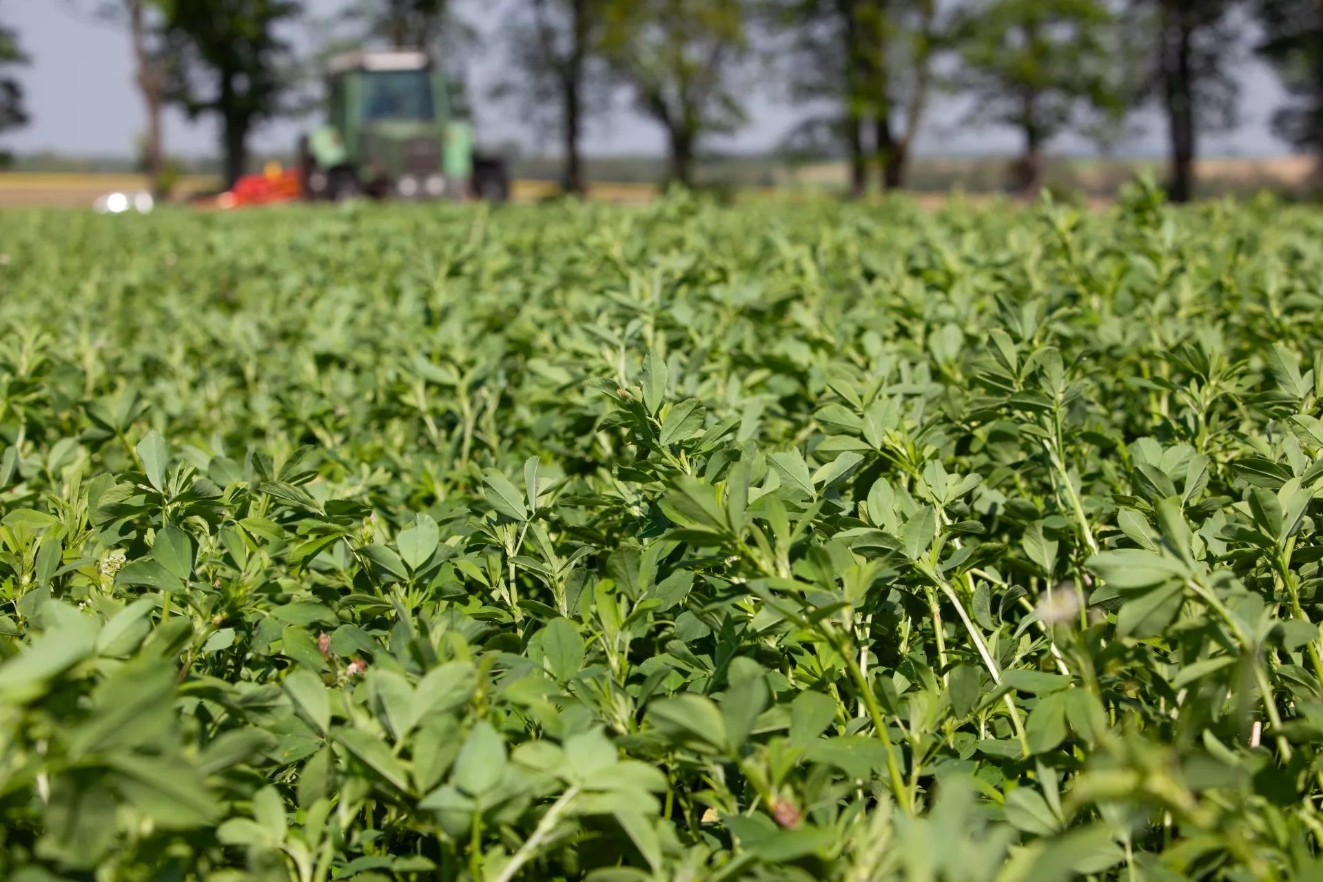 ARiMR dopłaca 430 zł do hektara. Sprawdź, do jakich upraw [LISTA]