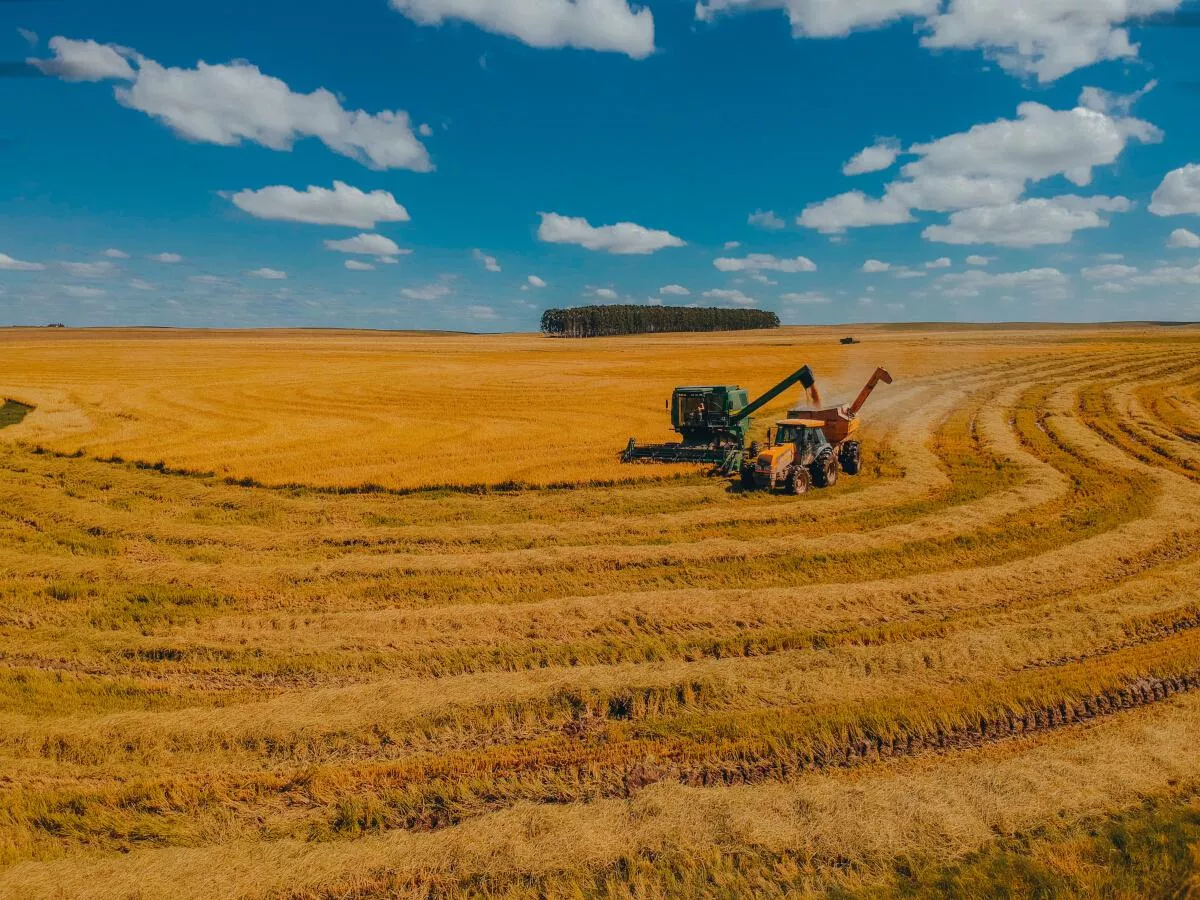 Umowa dożywocia: synowa odziedziczyła gospodarstwo. Czy musi opiekować się teściami?