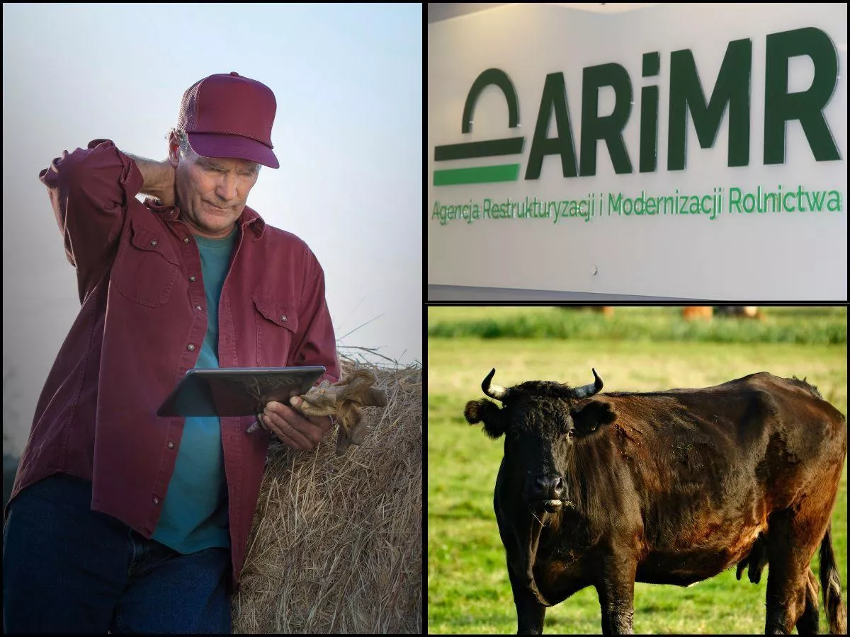 IRZplus odetnie część rolników. Zgłoszenia zwierząt nie przejdą