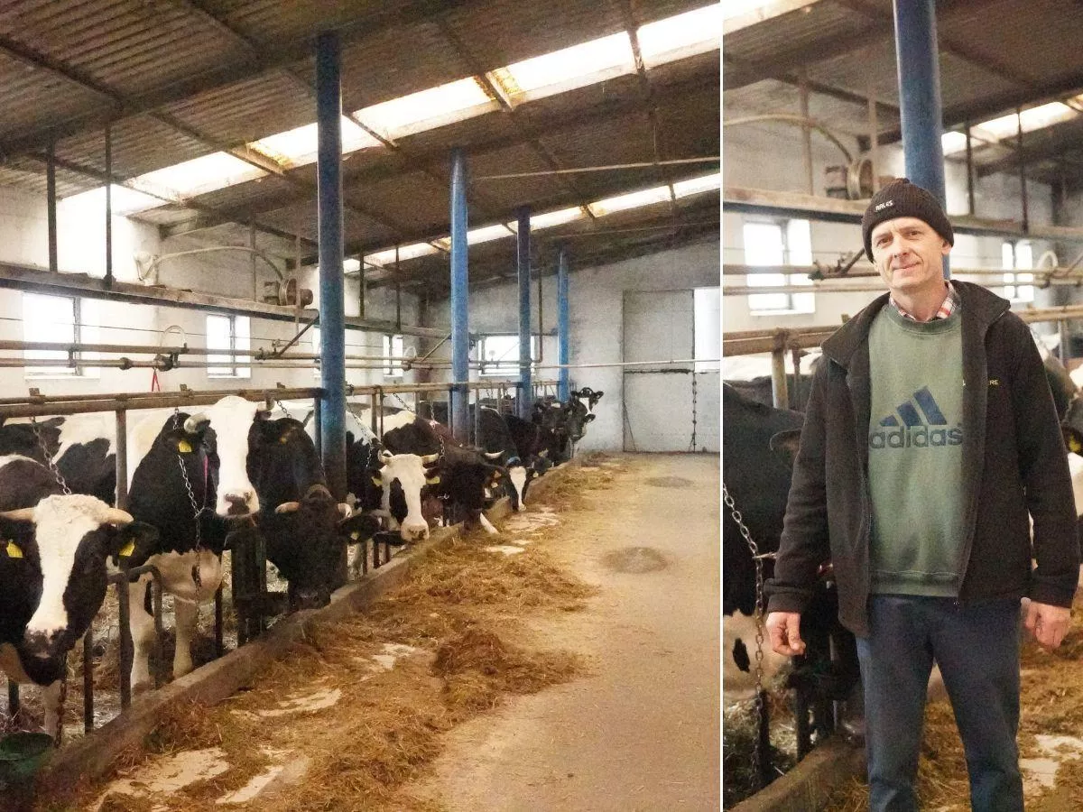 30 lat przy krowach i wciąż mają plany. „Chcemy spuścić je z uwięzi”