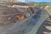 Rolnik ”nieświadomy dywersant” walczy o swoje miejsce pracy