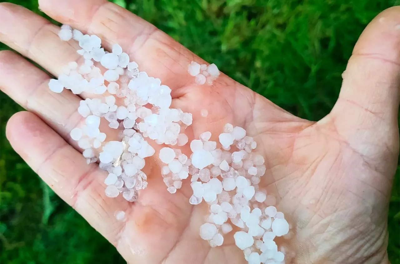 Rolnicy spełnili warunek, ale pieniędzy nie dostali. Jak nie stracić dopłat w 2026 r.?