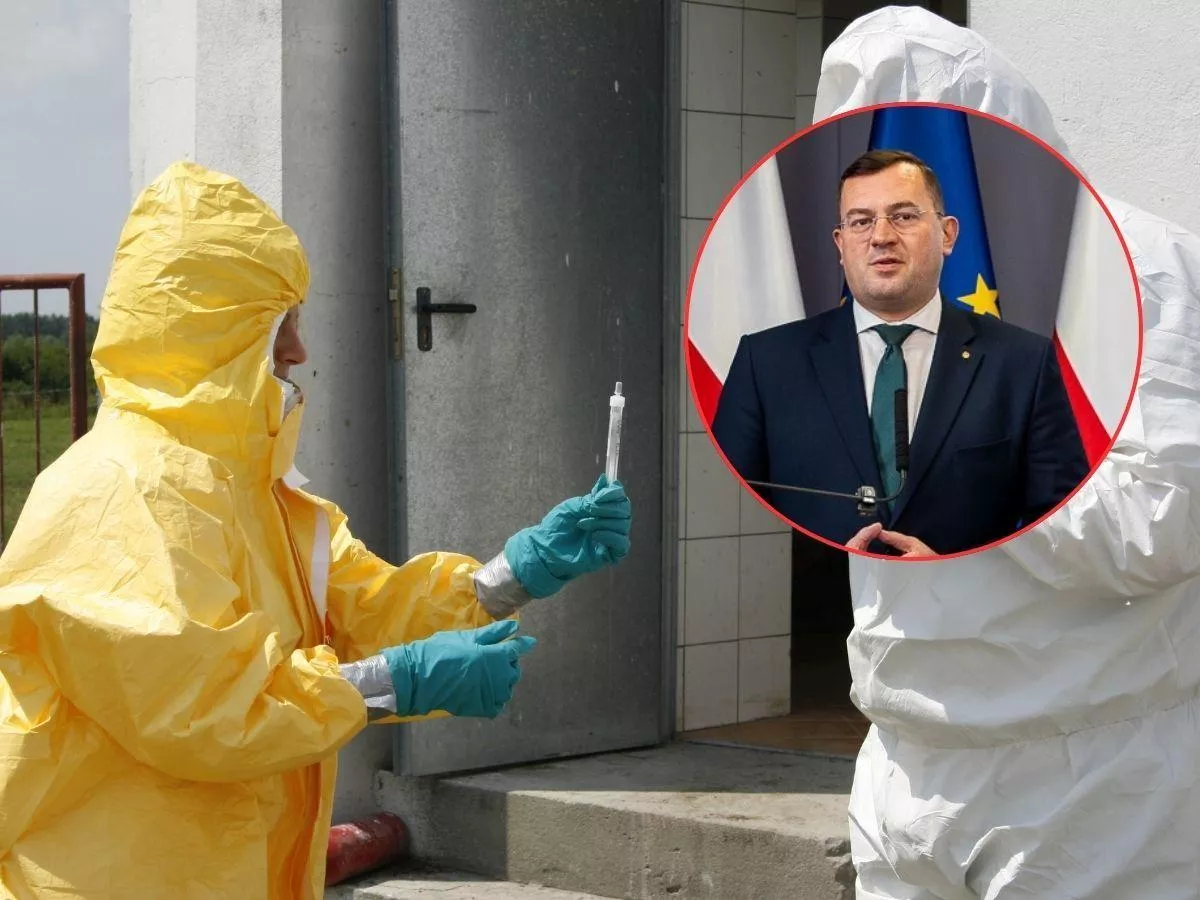 Podrzucony dzik z ASF pod Piotrkowem. Krajewski: nie wykluczamy sabotażu