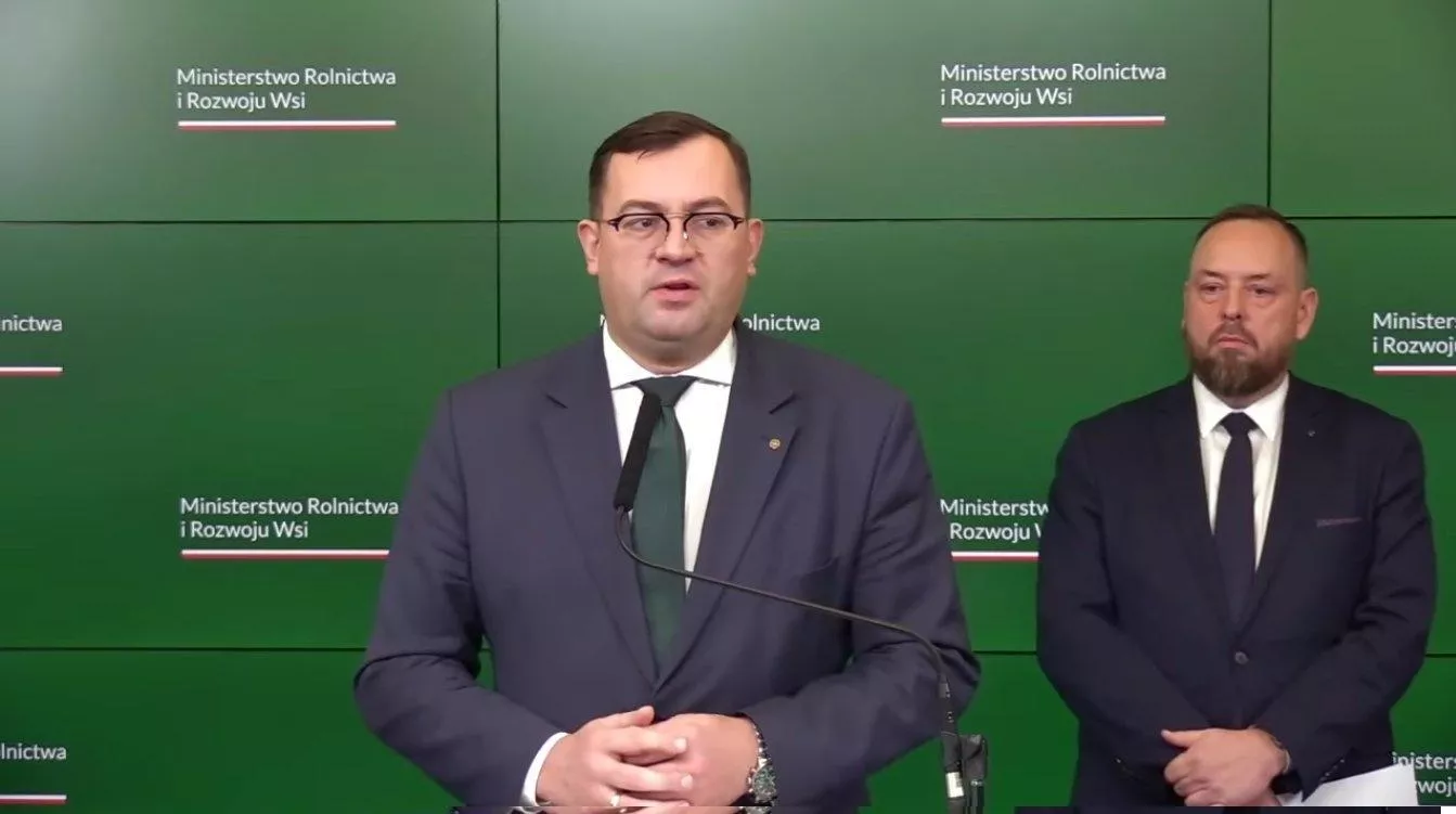 Kto podrzucił zakażonego dzika? „Miał linkę u nogi. To może być akcja wymierzona w rolników”