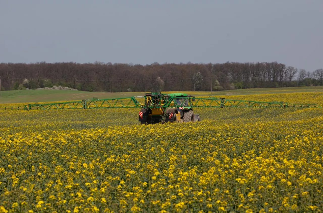 Ułatwienia w dopłatach do popularnego ekoschematu od 2026 r. Co się zmieni?