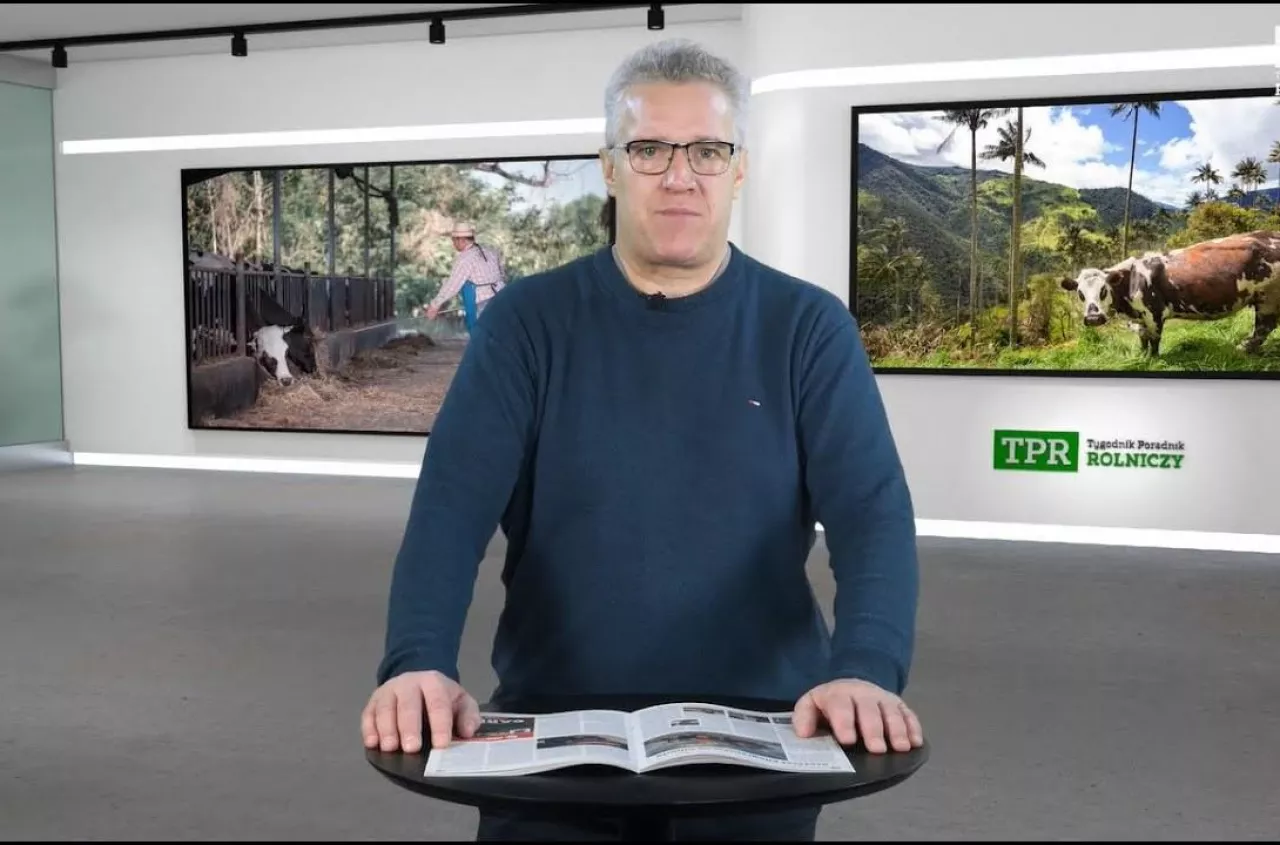 Bydło na dopingu. Z tym musi konkurować polski rolnik