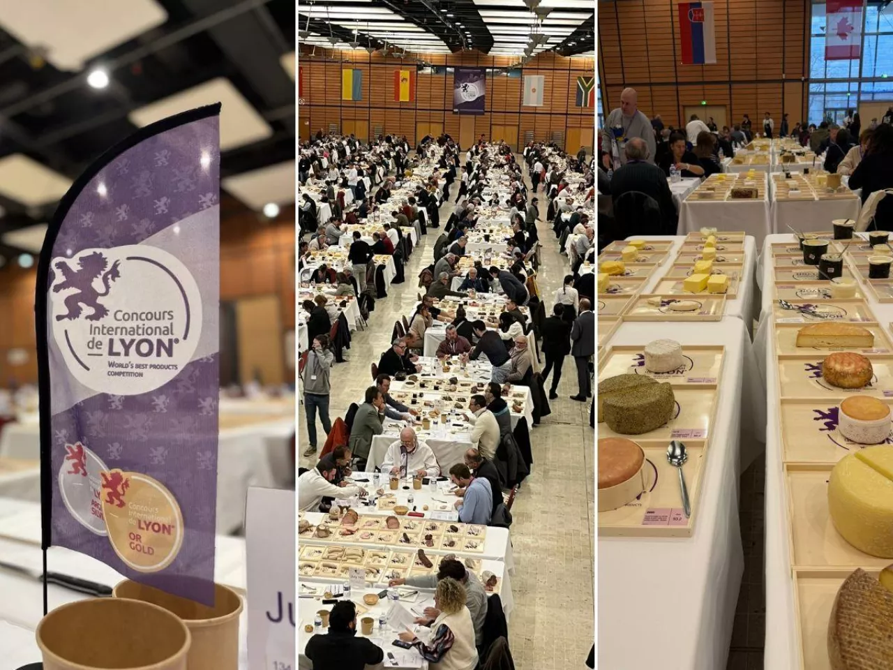 Polski ser podbił Francję! Zdobył złoty medal w prestiżowym konkursie