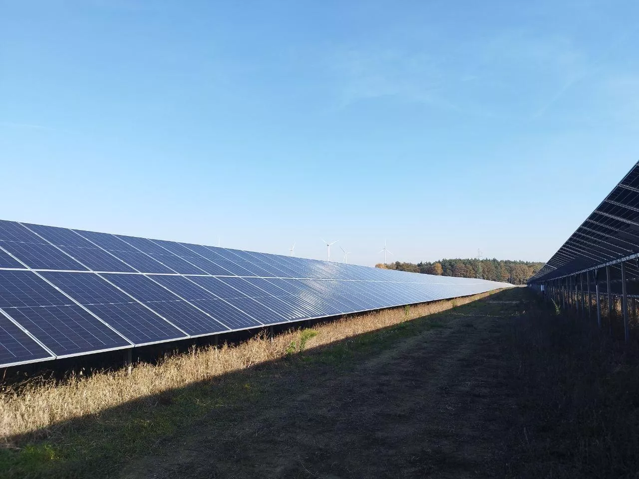 Dzierżawa ziemi pod panele. Rolnicy tracą choćby 5 lat zysków przez jeden zapis