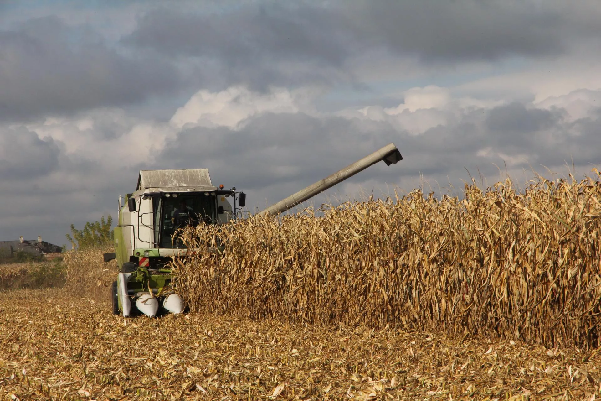 Kukurydza po 420 zł i jeszcze potrącenia. Będzie pomoc?
