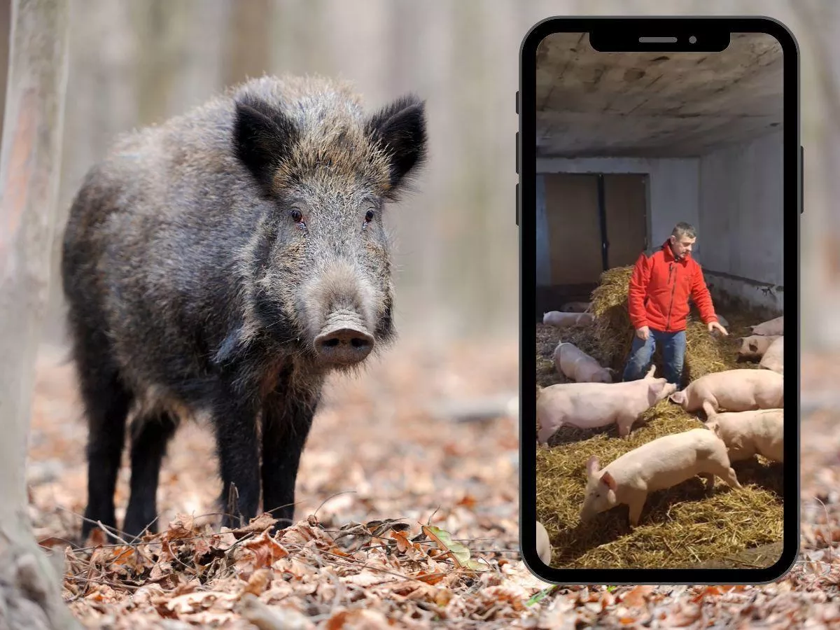 „To się źle skończy”. Rolnik ostrzega przed decyzją władz