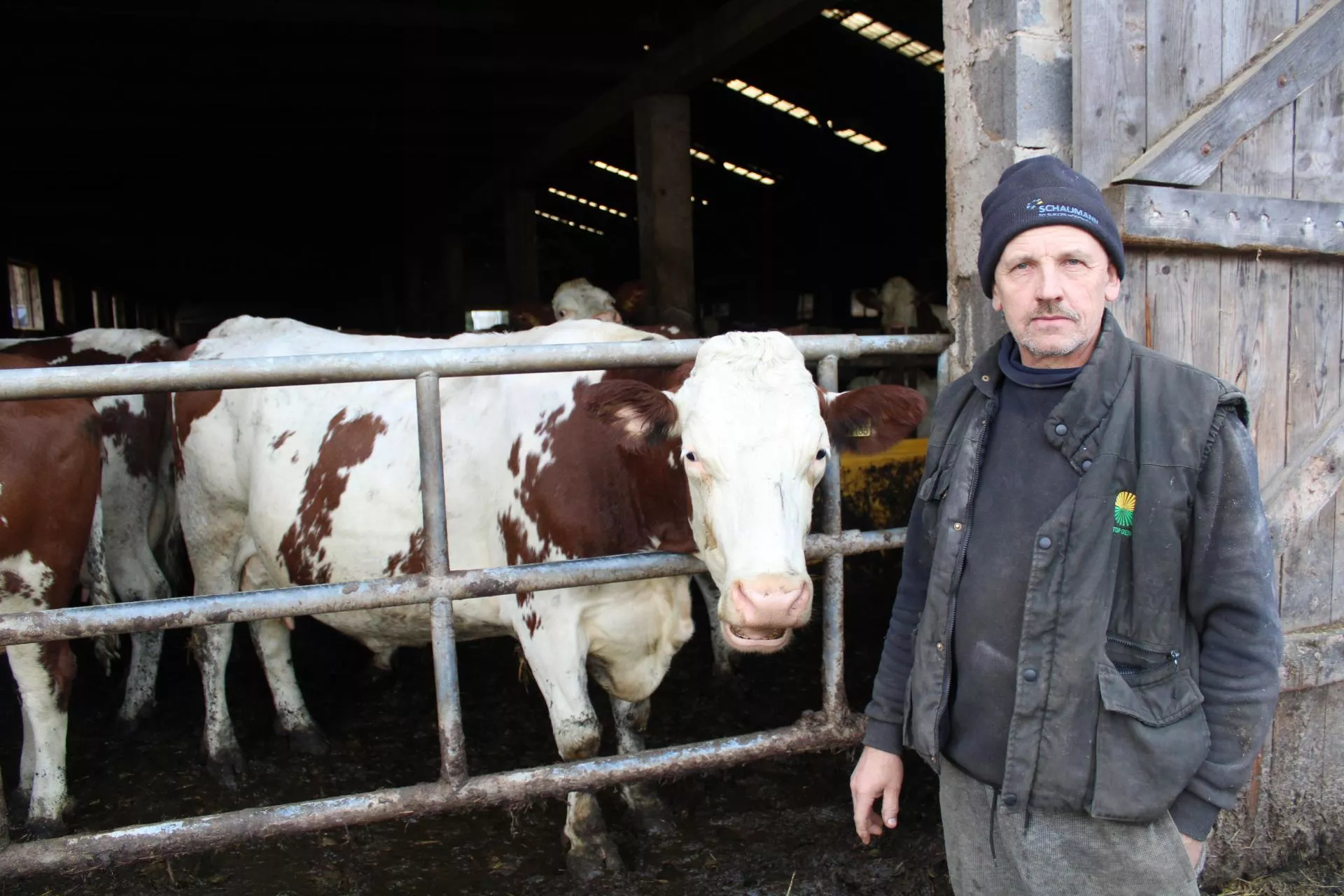 400 krów, 400 hektarów. I tylko jeden rolnik we wsi
