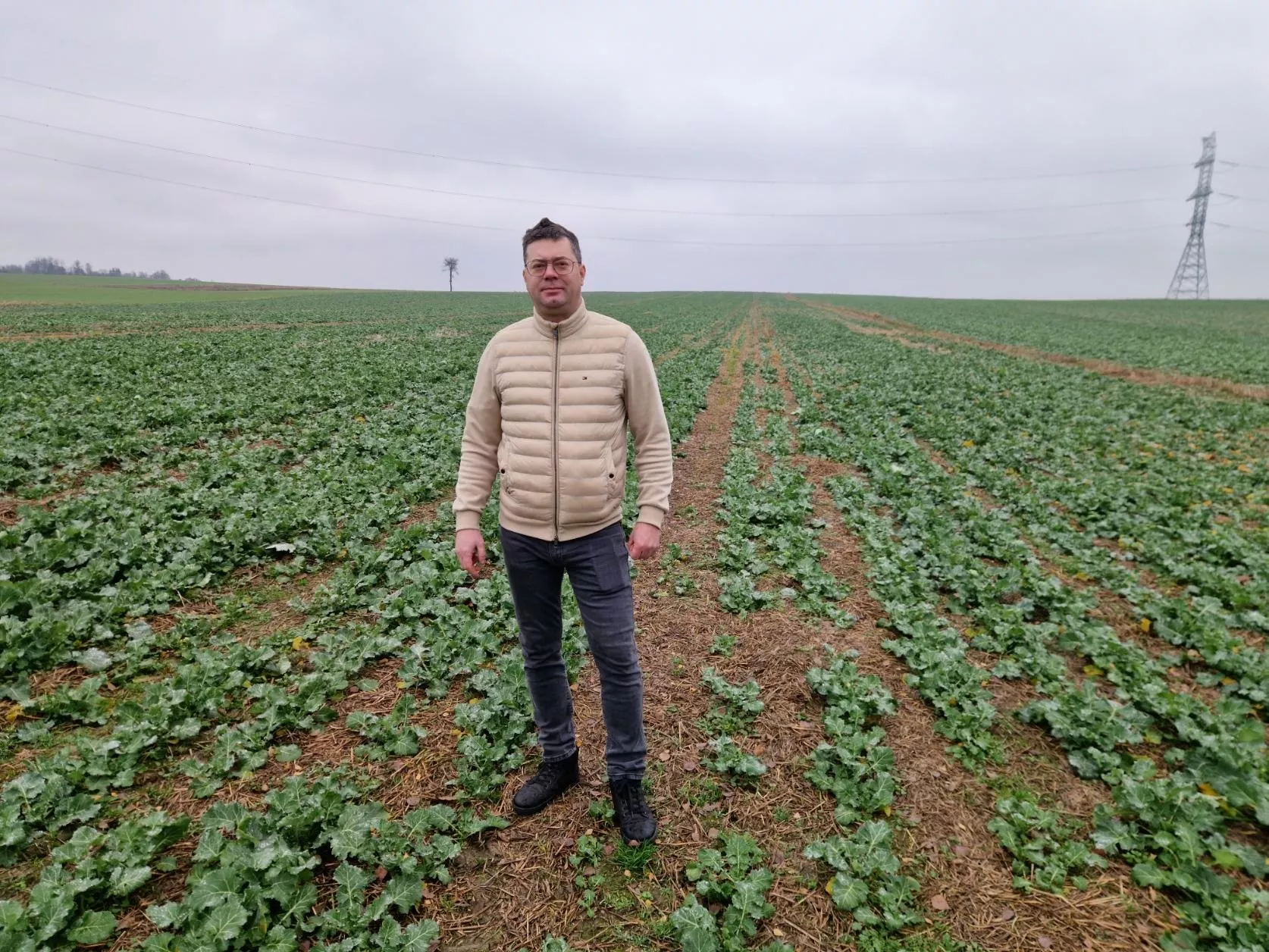 Trudna jesień dla rzepaku i soi. Jak radzi sobie rolnik z Lubelszczyzny?