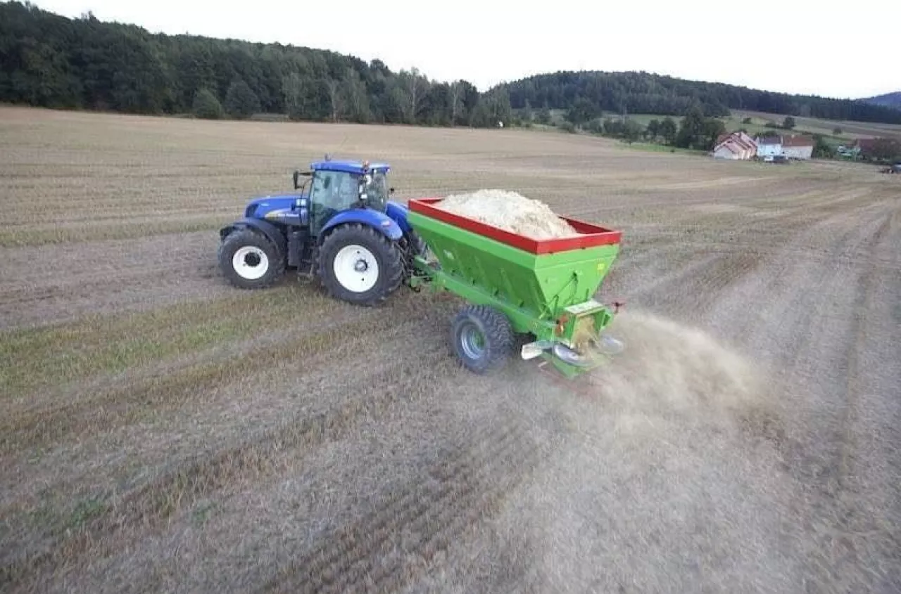 Czy można wapnować zimą? Ekspertka wyjaśnia