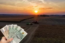 pole, dłoń trzymająca banknoty