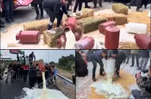 Wylewają mleko i blokują drogi. Skandal dopłat wywołuje masowe protesty