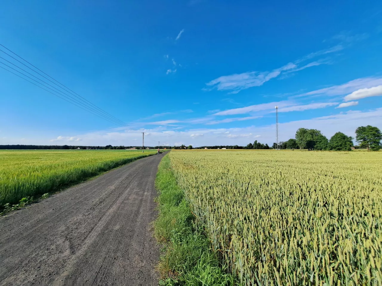 Trybunał Konstytucyjny zrewolucjonizował spory o słupy i linie na prywatnych gruntach.