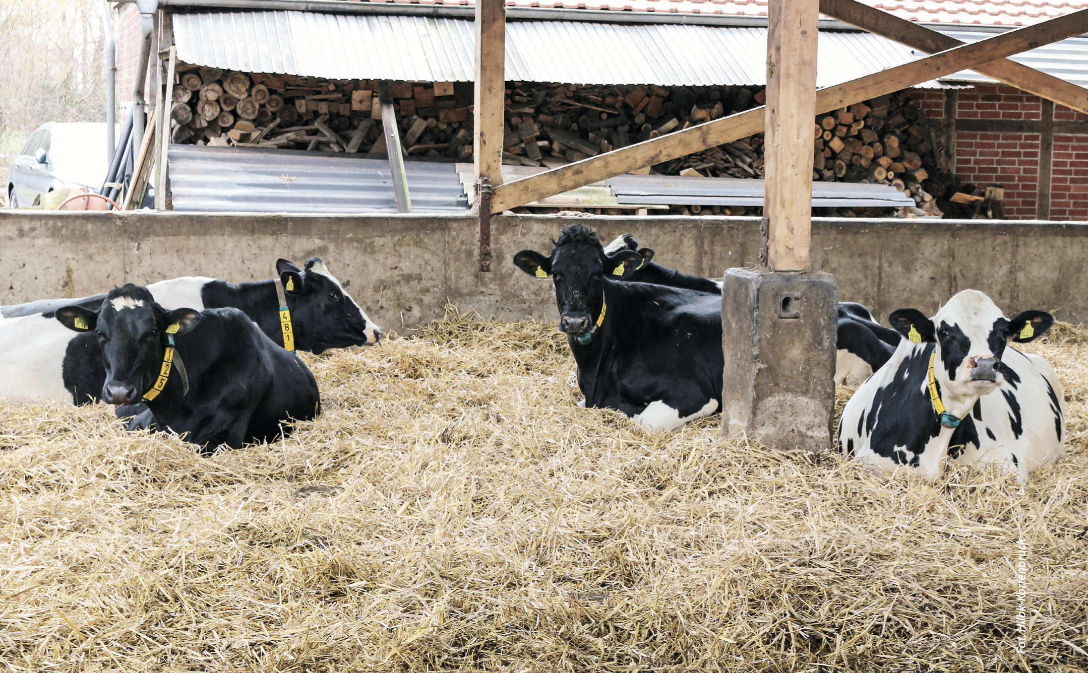 Błędy w zasuszeniu mszczą się cały rok. Oto, jak ich uniknąć