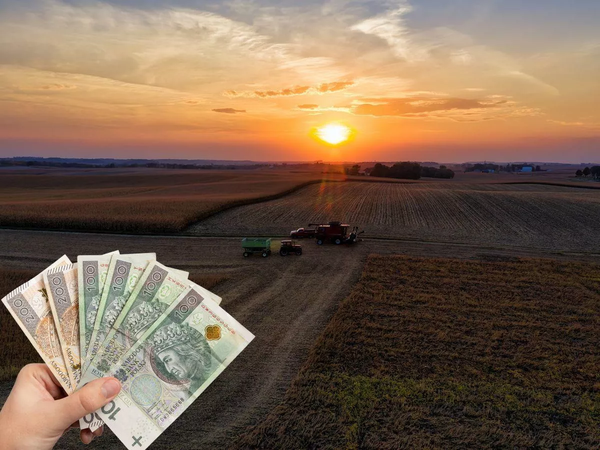 Sprzedajesz ziemię? Te grunty nie są zwolnione z podatku