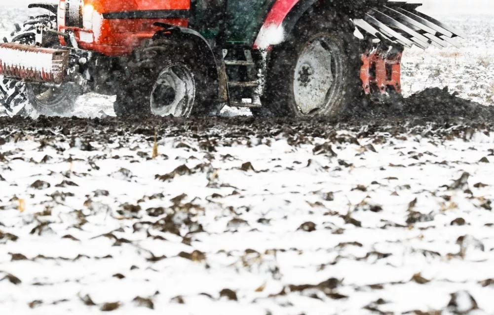 Ciepła zima, potem przymrozki i susza. Prognoza pogody Józefa Groella na 2026 rok