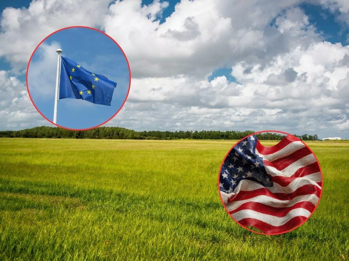 USA zmieniają zasady gry. Co to oznacza dla polskiego rolnictwa?