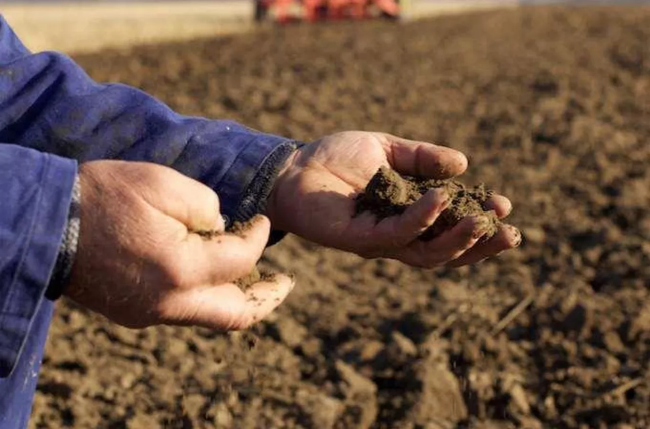 Podatek za samozbiory. Który rolnik zapłaci, a który nie?