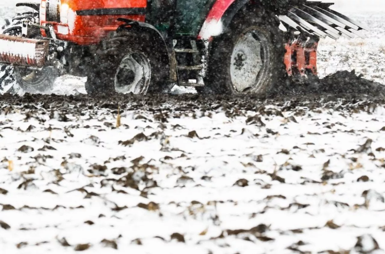 Ciepła zima, potem przymrozki i susza. Prognoza pogody Józefa Groella na 2026 rok