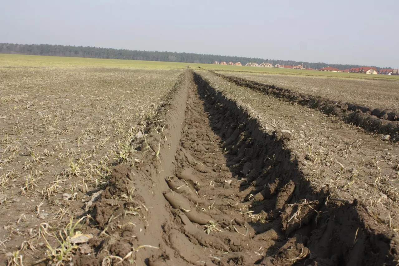 Koleiny na polu zbliżenie 