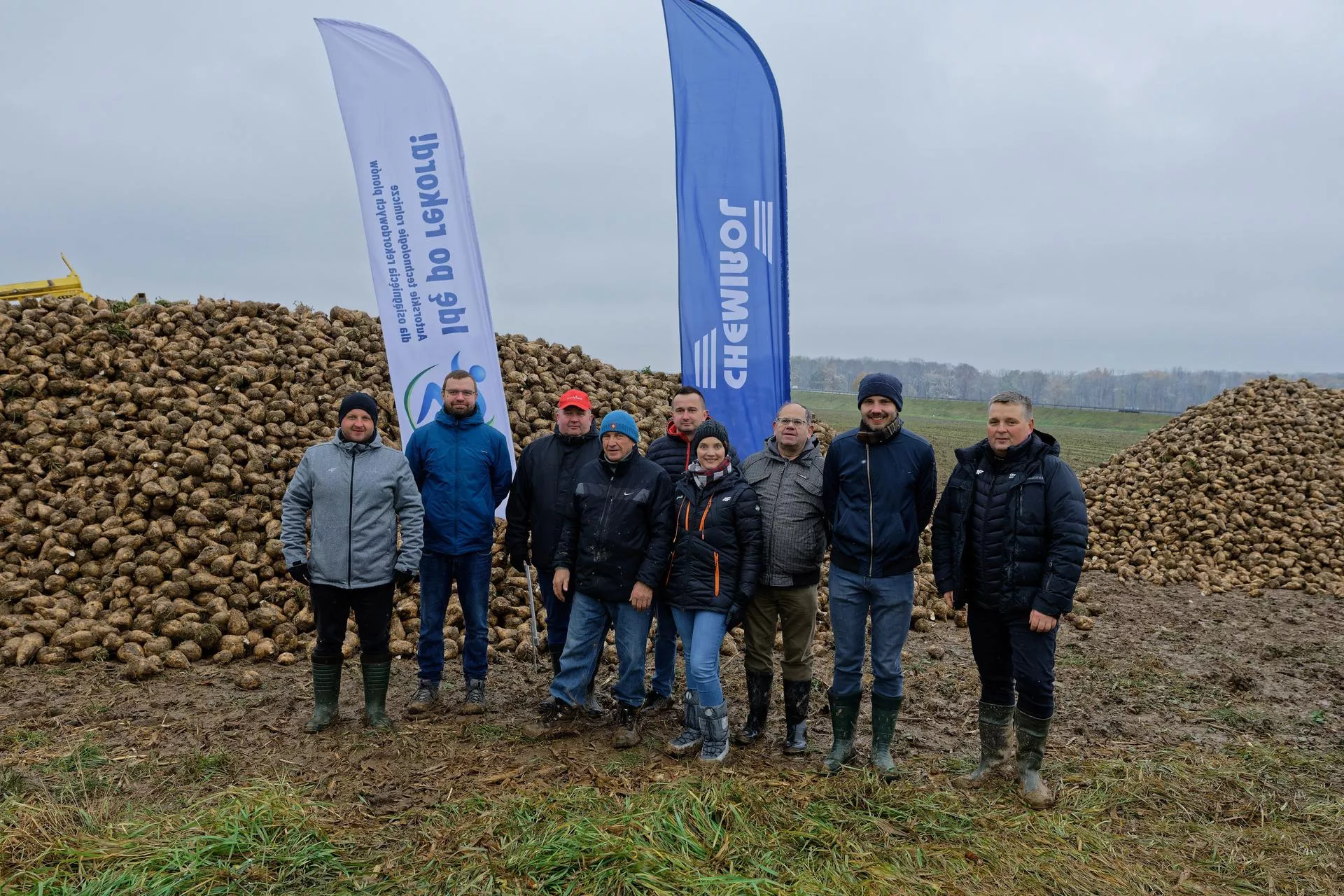 14,2 t pszenicy z hektara. Polscy rolnicy biją rekordy plonów