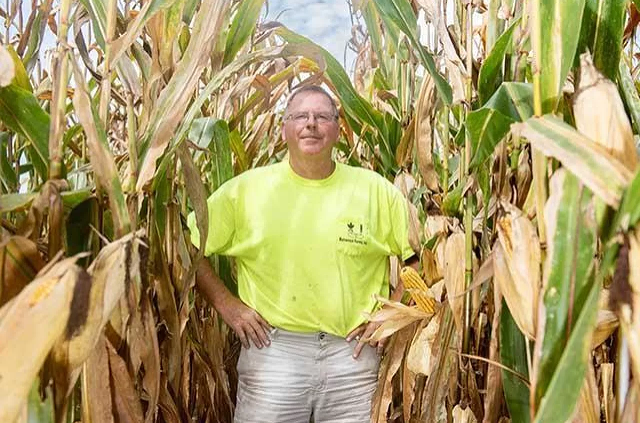 39 ton kukurydzy z hektara. Ten rekord zwala z nóg