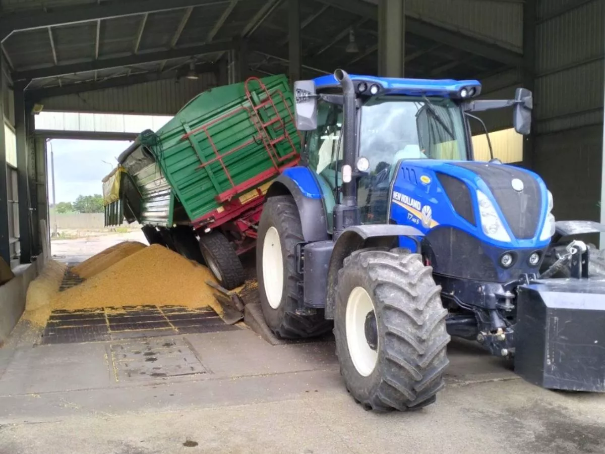 Jakie będą ceny zbóż na koniec 2025 i 2026? Nowa prognoza może rozczarować rolników