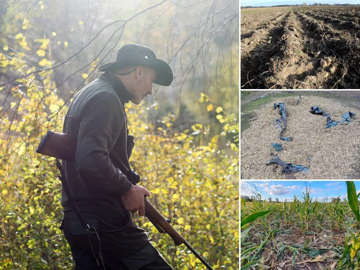 Rolnicy tracą plony i dostają grosze. A myśliwi? Twierdzą, iż wszystko jest jak trzeba