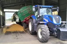 skup zbóż i rzepaku w Elewarr 