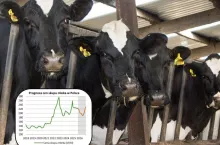 Jakie będą ceny mleka na koniec 2025 i 2026? Nowa prognoza