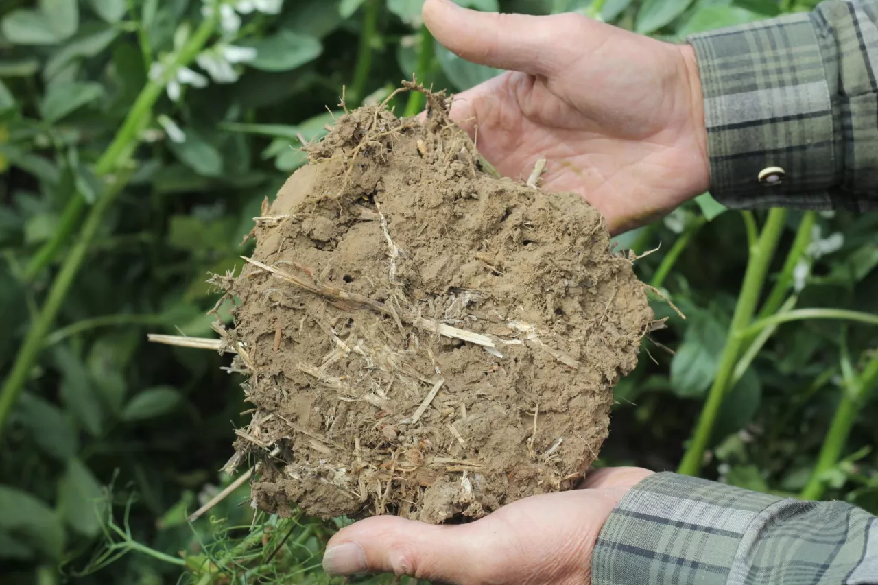 X Forum Rolników i Agrobiznesu Sesja Żywa i zdrowa Gleba