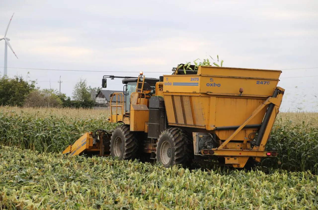 Ten błąd może zlikwidować całą grupę producentów rolnych. Zasada 70% pod lupą sądów