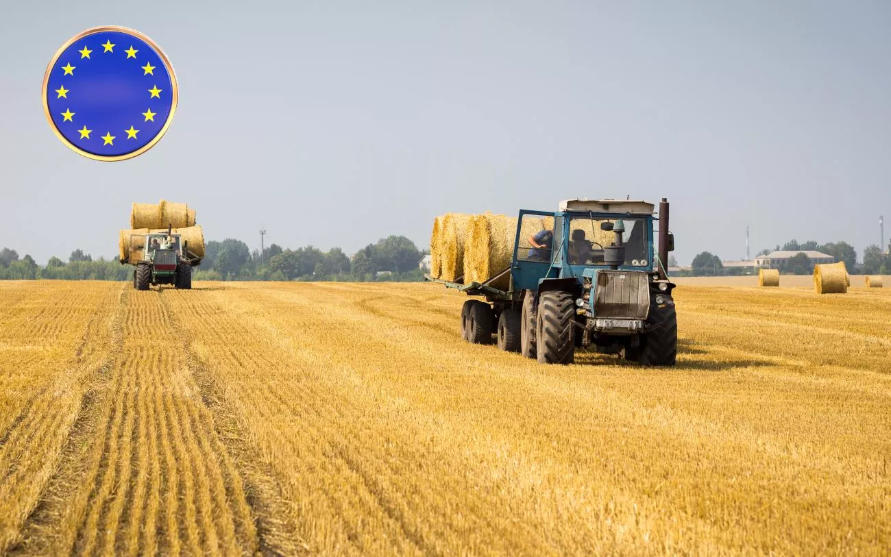 Polska dokłada 1 milion euro do wejścia Ukrainy do UE. Akcesja przyspiesza