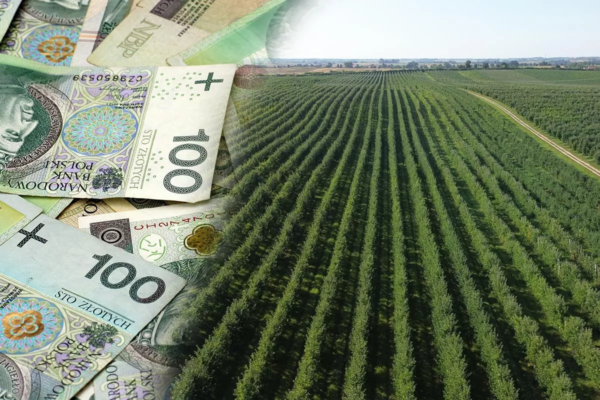 Rolniku, poręczyłeś kredyt? Bank może żądać pieniędzy tylko od ciebie