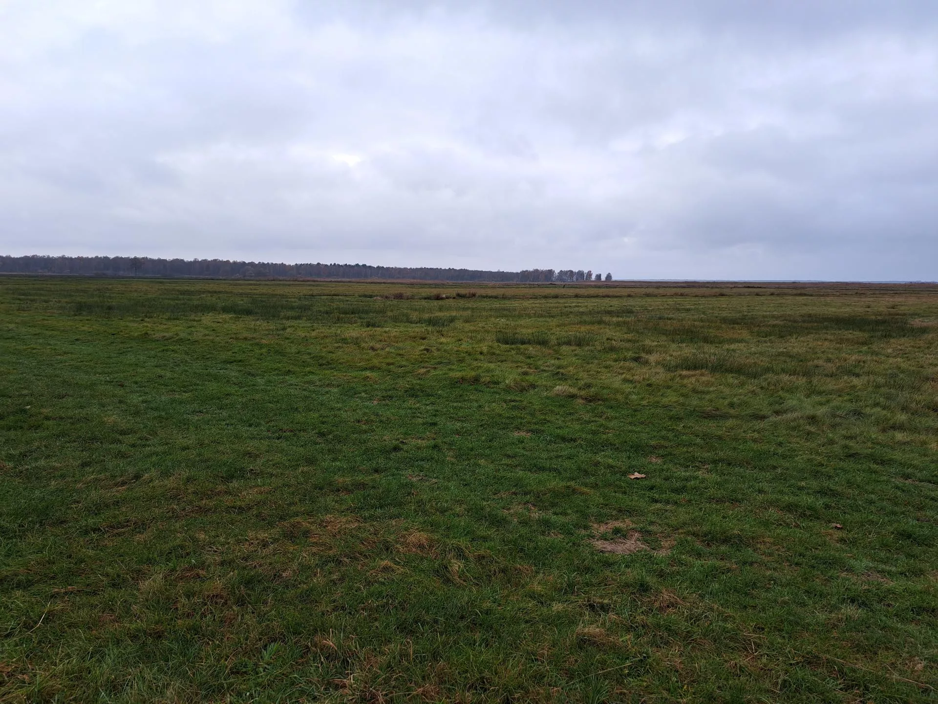 Dopłaty bezpośrednie 2026 na nowych zasadach. Co się zmieni?