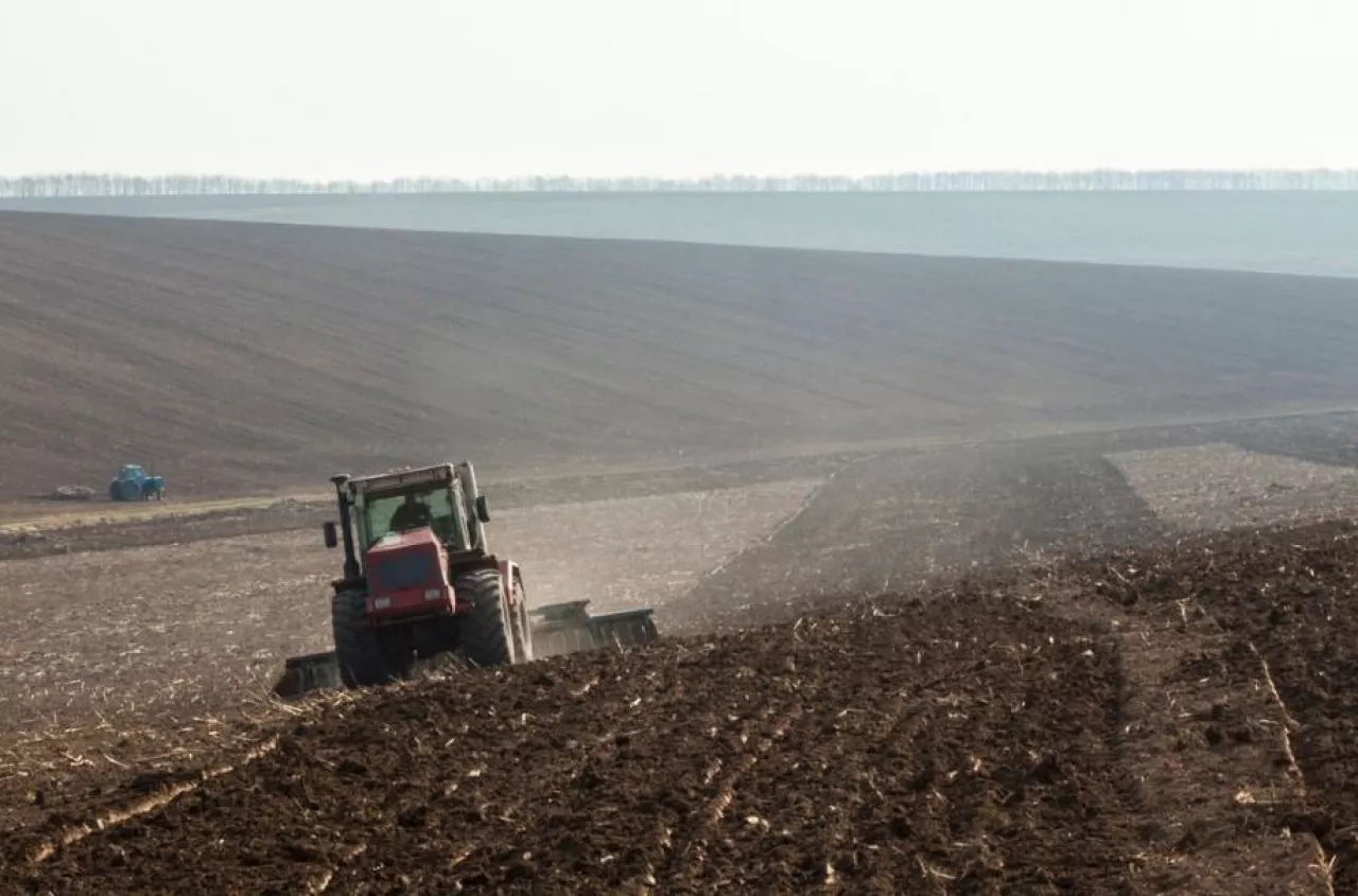 Rolnicy chcą umorzenia czynszów z KOWR. Ministerstwo: to możliwe, ale pod warunkami