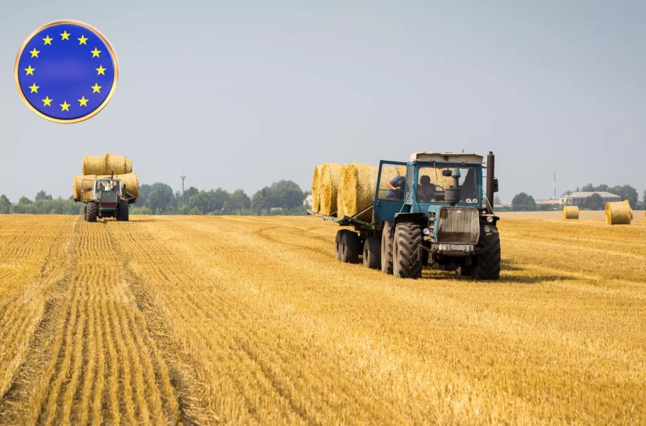 Polska dokłada 1 milion euro do wejścia Ukrainy do UE. Akcesja przyspiesza