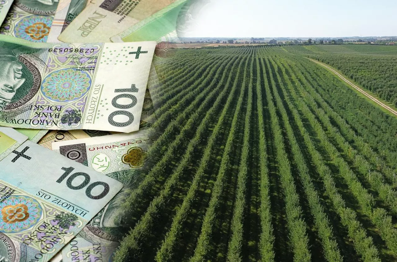 Rolniku, poręczyłeś kredyt? Bank może żądać pieniędzy tylko od ciebie