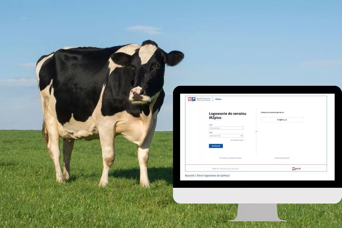 Zmiany w IRZplus w 2026 roku. ARiMR szykuje nowe funkcje dla rolników