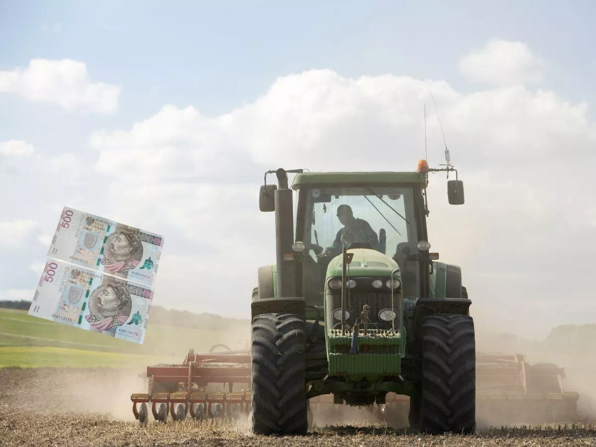 Ile zarabia dziś pracownik w gospodarstwie? Stawki sięgają 10 tys. zł