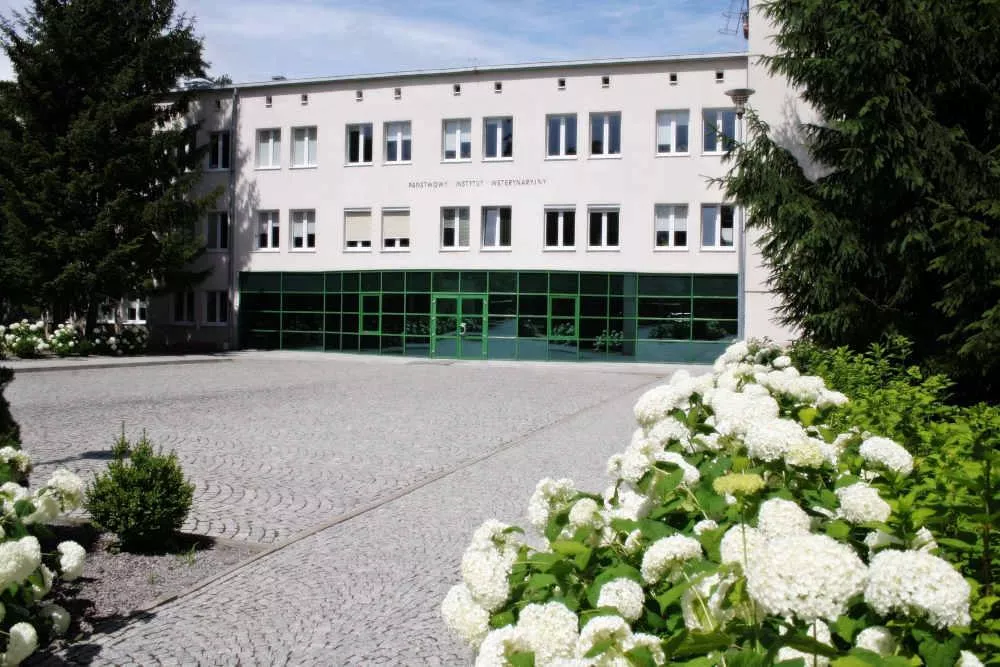 Nowe laboratorium w Puławach. Rolnicy zyskują istotną broń w walce z ASF i grypą ptaków