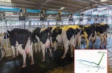 Jak zmieni się mapa mleka w UE? Zachód zwija produkcję, Polska rośnie