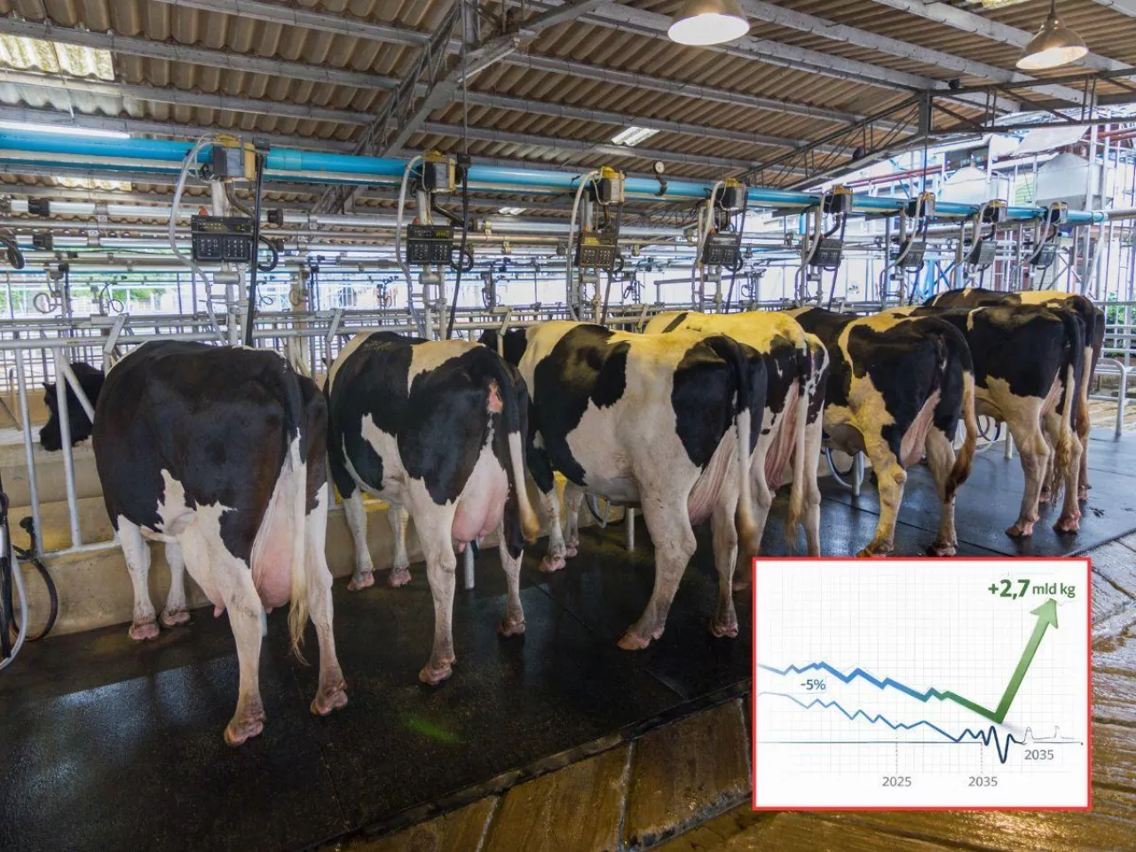Jak zmieni się mapa mleka w UE? Zachód zwija produkcję, Polska rośnie