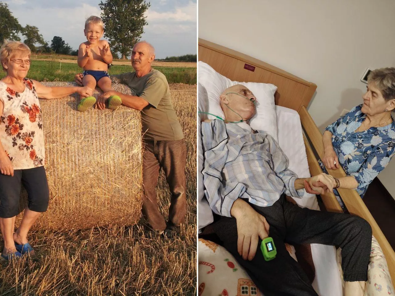 Przez lata oddawał mleko do Mlekovity. Dziś rodzina walczy o jego życie